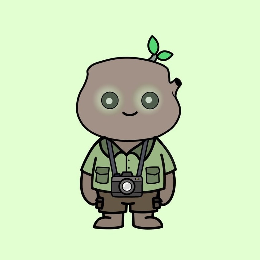 Robinwood character
